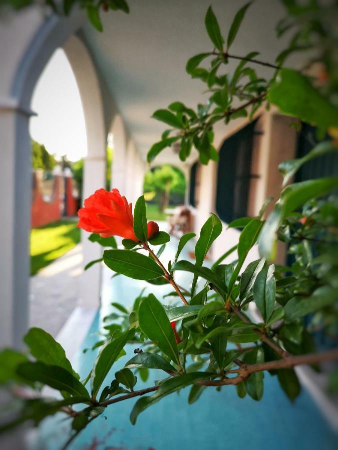 Casa Del Vigneto - New Near Venice - Rooms+Bathroom - Independent Spinea Εξωτερικό φωτογραφία