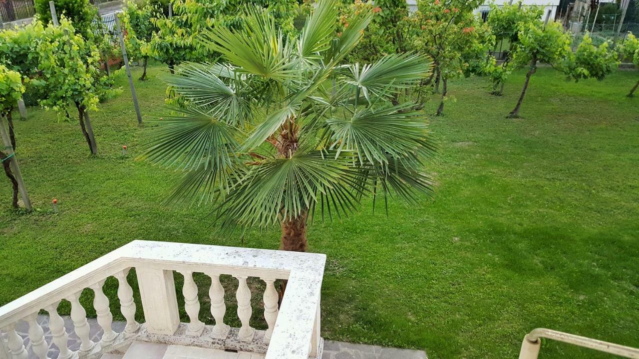 Casa Del Vigneto - New Near Venice - Rooms+Bathroom - Independent Spinea Εξωτερικό φωτογραφία